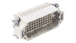Picture of H-DD 72 (Male)