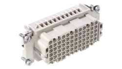 Show details for H-DD 72 (Female)