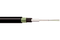 Show details for GOF Armoured Extra 12 Core OM2