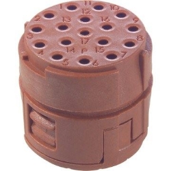 Show details for M23 Insert 17 Pole