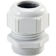 Picture of Gland M20 Reduced 