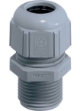 Picture of Gland M25 XL