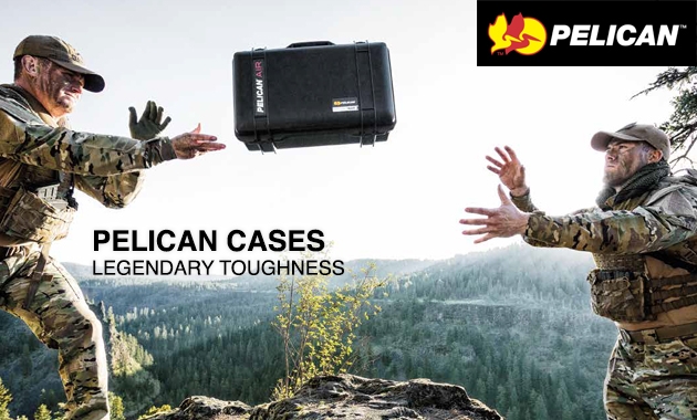 Cases