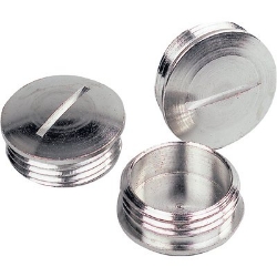 Show details for Brass Blank Plug PG16