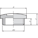 Picture of Brass Blank Plug PG42