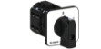 Picture of On-Off Spring Cam Switch 22.5 / 30mm 2P 25A